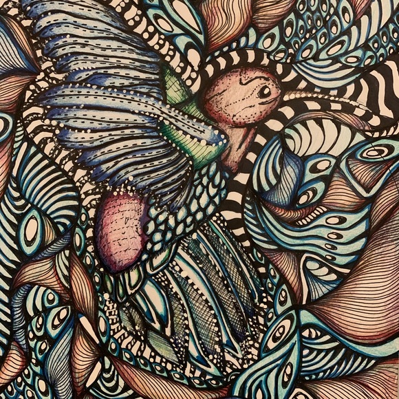 Hummingbird Dreams- an 8 by 10 print of my work - Picture 2 of 2